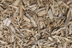 biomass boilers Totterton